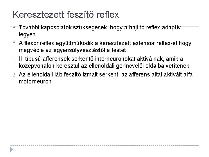 Keresztezett feszítő reflex További kapcsolatok szükségesek, hogy a hajlító reflex adaptív legyen. A flexor