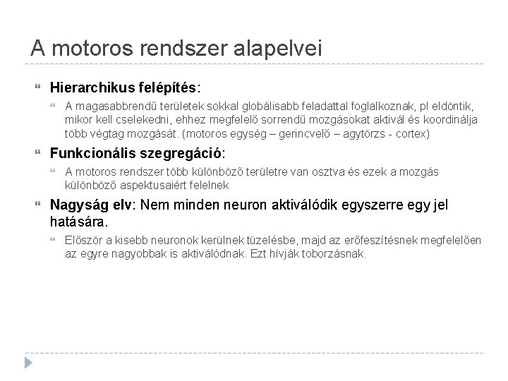 A motoros rendszer alapelvei Hierarchikus felépítés: Funkcionális szegregáció: A magasabbrendű területek sokkal globálisabb feladattal