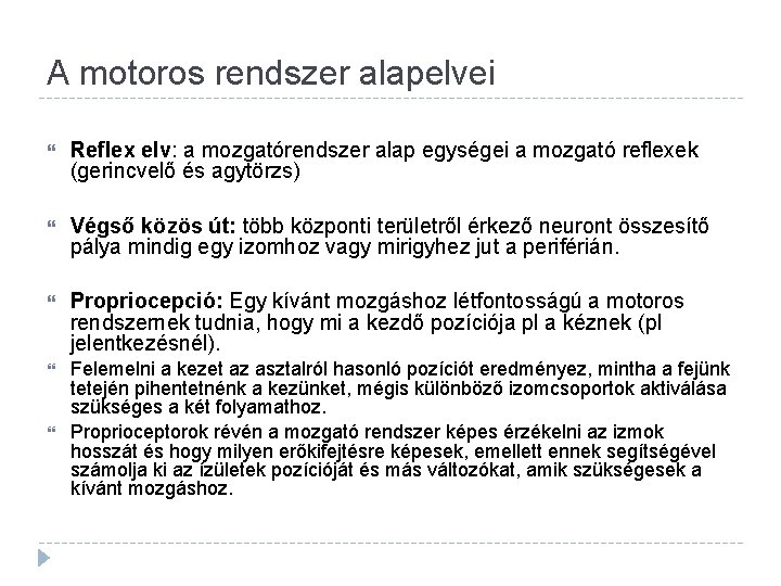 A motoros rendszer alapelvei Reflex elv: a mozgatórendszer alap egységei a mozgató reflexek (gerincvelő