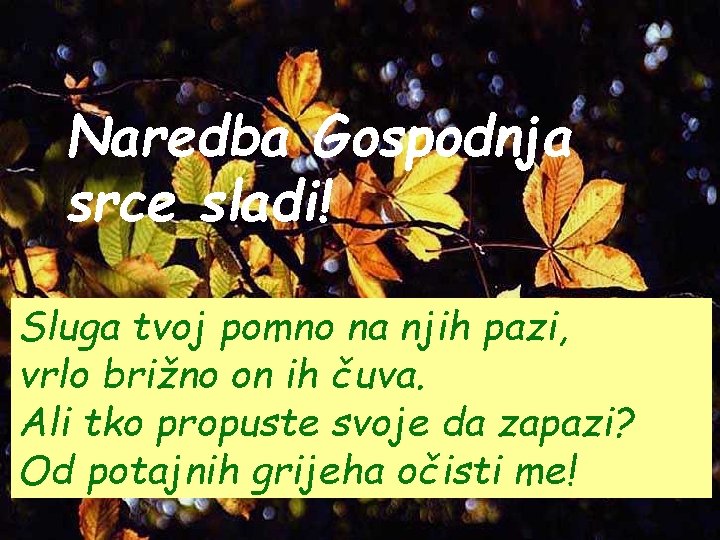 Naredba Gospodnja srce sladi! Sluga tvoj pomno na njih pazi, vrlo brižno on ih