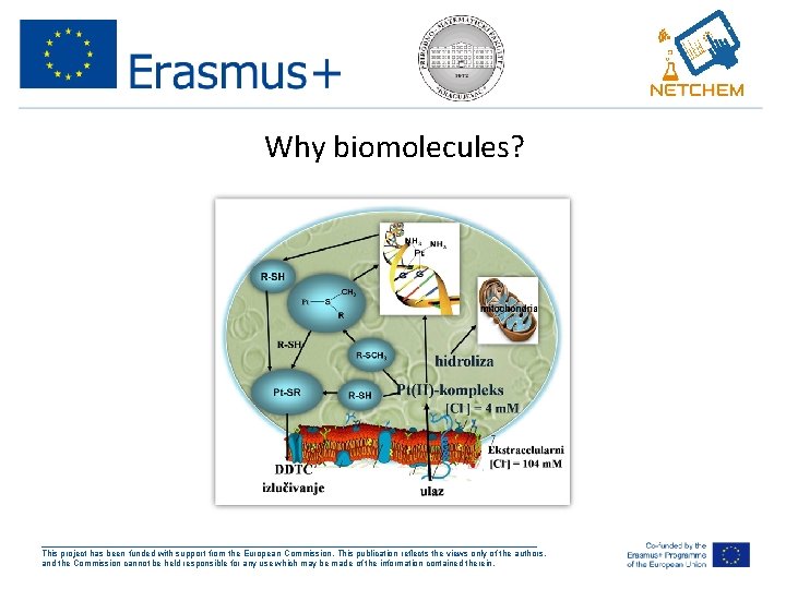 Why biomolecules? ___________________________________________________ This project has been funded with support from the European Commission.