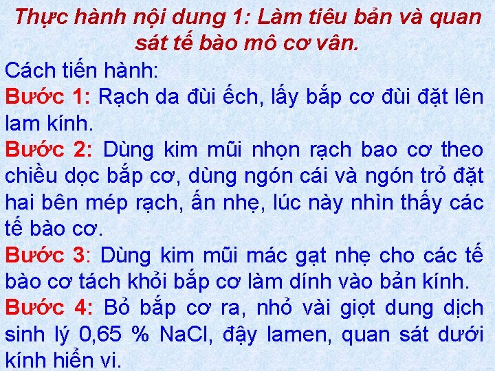 Thực hành nội dung 1: Làm tiêu bản và quan sát tế bào mô