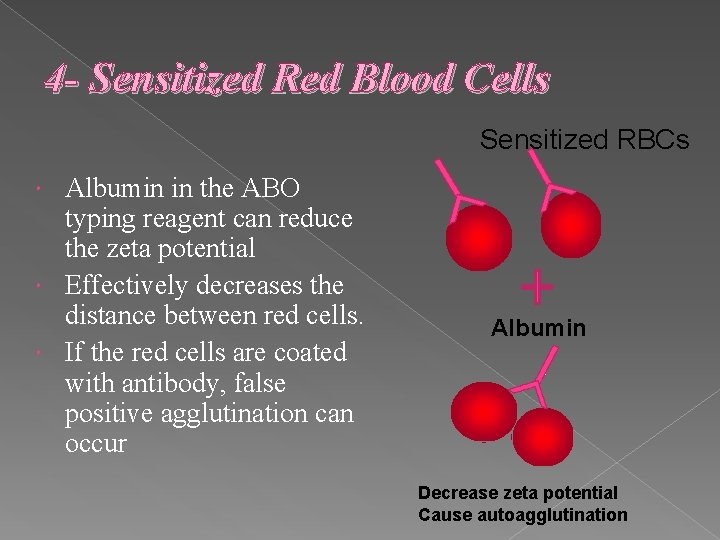 4 - Sensitized Red Blood Cells Sensitized RBCs Albumin in the ABO typing reagent 4 - Sensitized Red Blood Cells Sensitized RBCs Albumin in the ABO typing reagent