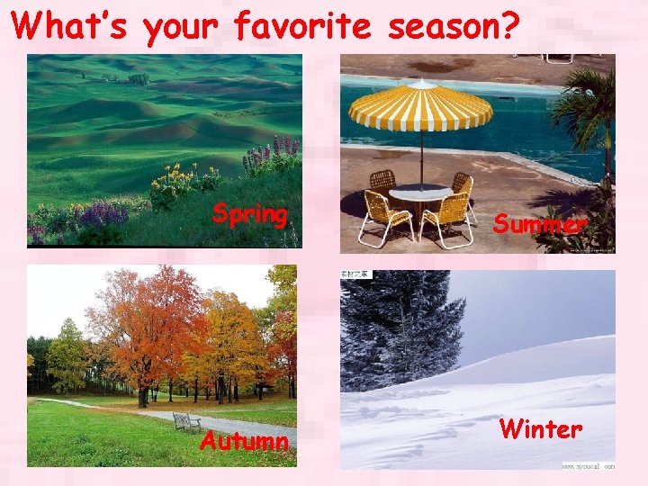 What’s your favorite season? Spring Summer Autumn Winter 