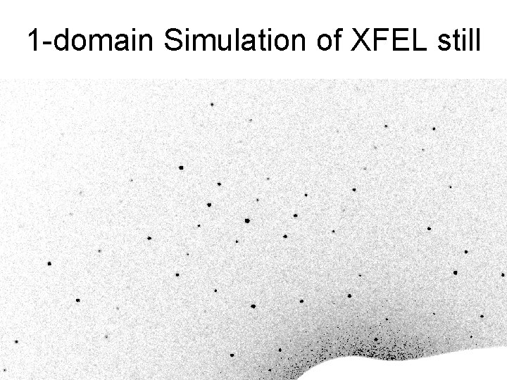 1 -domain Simulation of XFEL still 