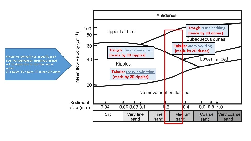 Trough cross bedding (made by 3 D dunes) When the sediment has a specific