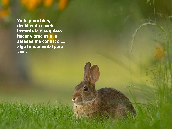 Yo lo paso bien, decidiendo a cada instante lo que quiero hacer y gracias