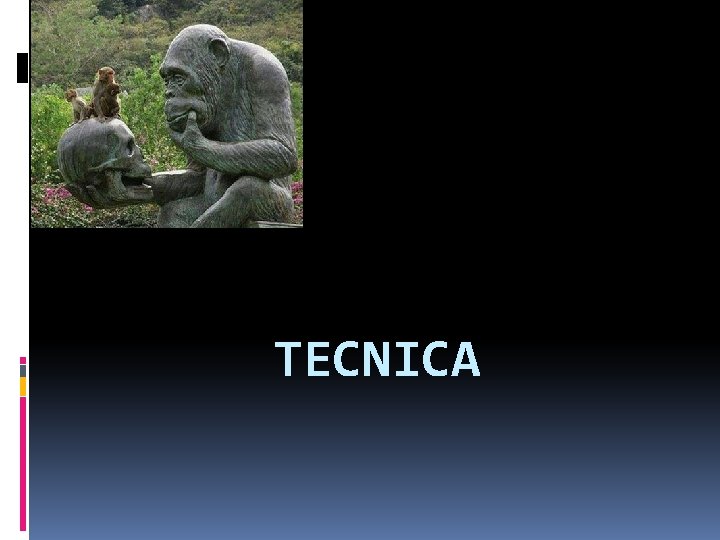 TECNICA 