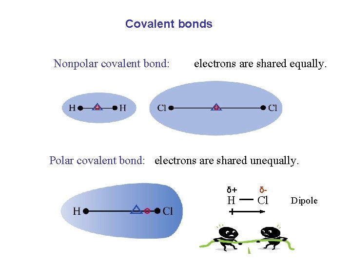 Covalent bonds Nonpolar covalent bond: electrons are shared equally. Polar covalent bond: electrons are