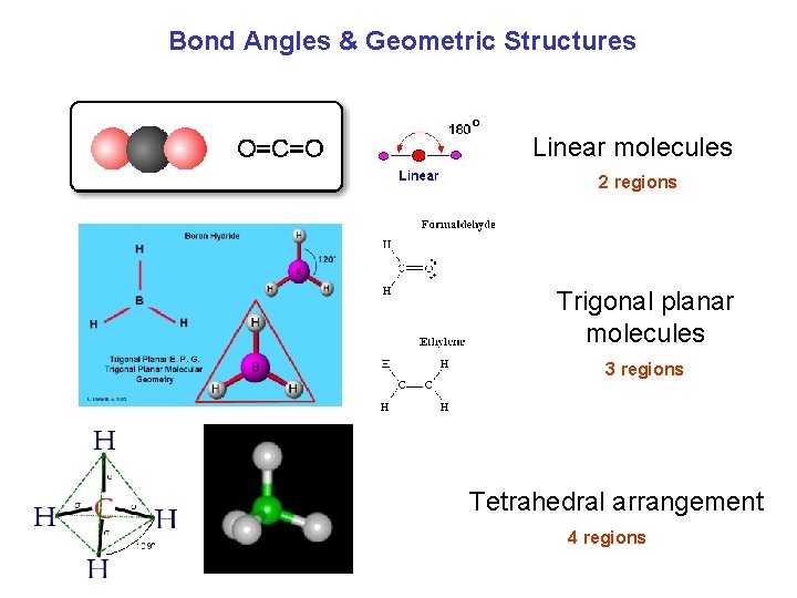 Bond Angles & Geometric Structures Linear molecules 2 regions Trigonal planar molecules 3 regions