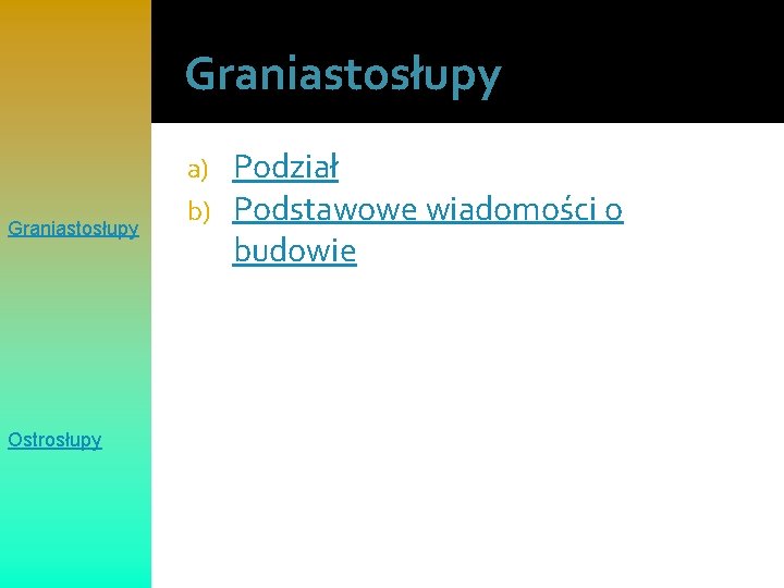 Graniastosłupy Ostrosłupy a) b) Podział Podstawowe wiadomości o budowie 