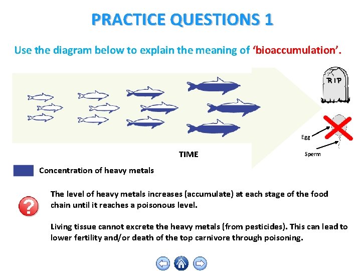 PRACTICE QUESTIONS 1 Use the diagram below to explain the meaning of ‘bioaccumulation’. Egg