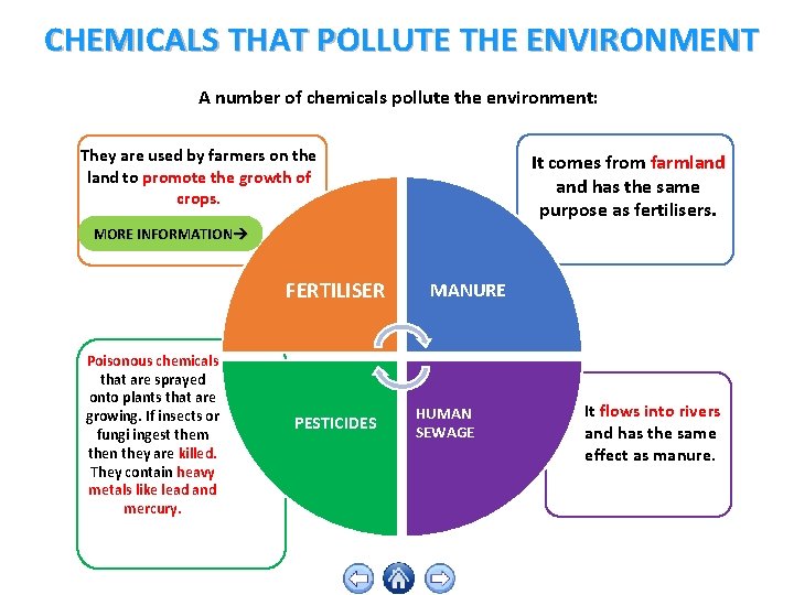 CHEMICALS THAT POLLUTE THE ENVIRONMENT A number of chemicals pollute the environment: They are