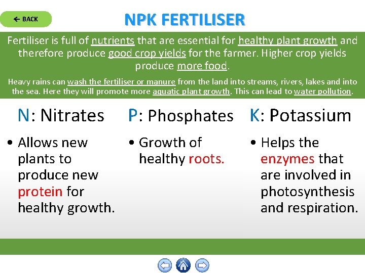  BACK NPK FERTILISER Fertiliser is full of nutrients that are essential for healthy