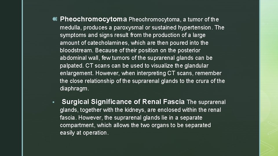 §z Pheochromocytoma, a tumor of the medulla, produces a paroxysmal or sustained hypertension. The