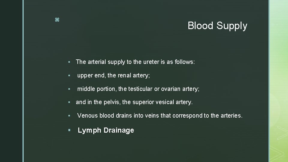 z Blood Supply § The arterial supply to the ureter is as follows: §