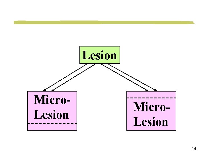 Lesion Micro. Lesion 14 