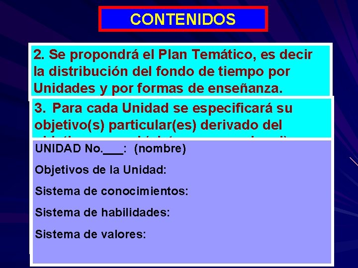 CONTENIDOS 2. Se propondrá el Plan Temático, es decir la distribución del fondo de