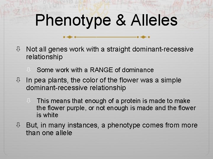 Phenotype & Alleles Not all genes work with a straight dominant-recessive relationship Some work