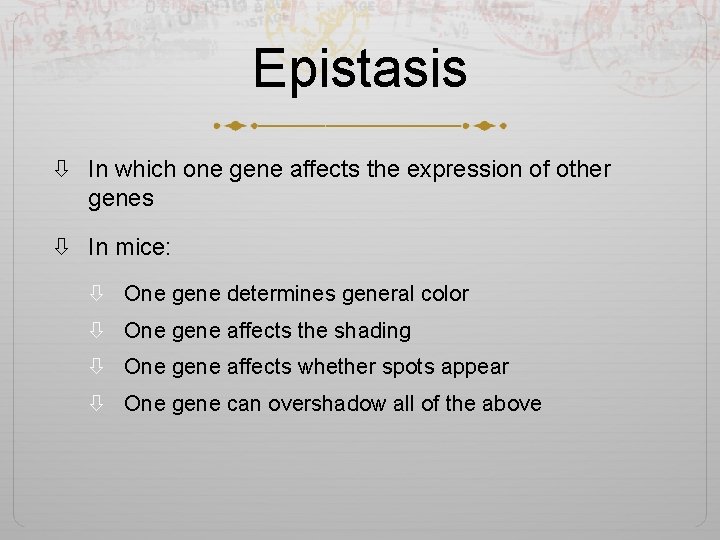 Epistasis In which one gene affects the expression of other genes In mice: One