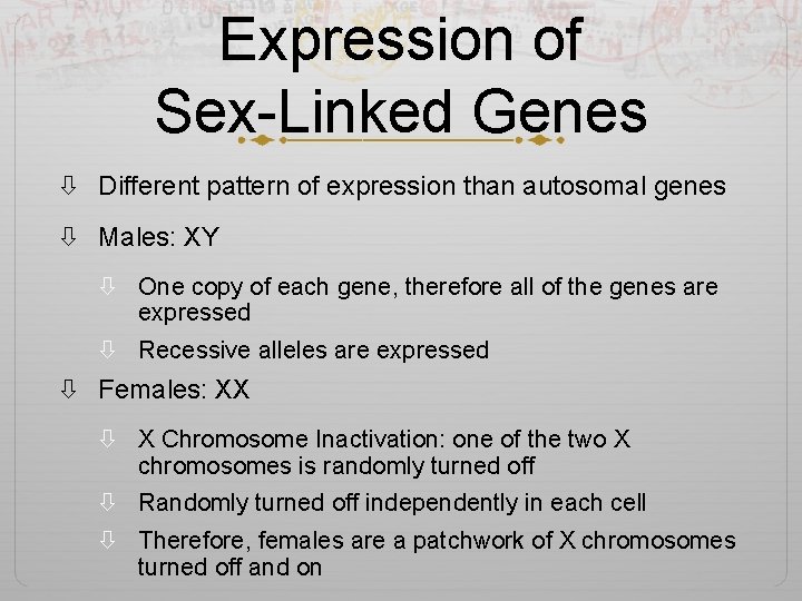 Expression of Sex-Linked Genes Different pattern of expression than autosomal genes Males: XY One