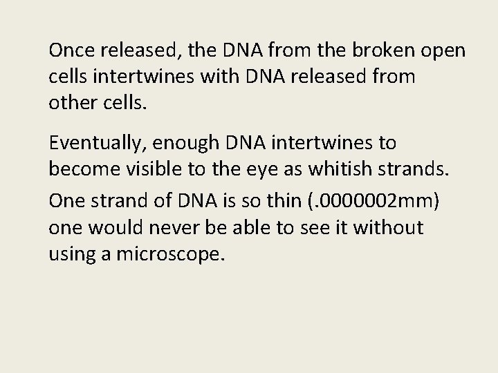 Once released, the DNA from the broken open cells intertwines with DNA released from