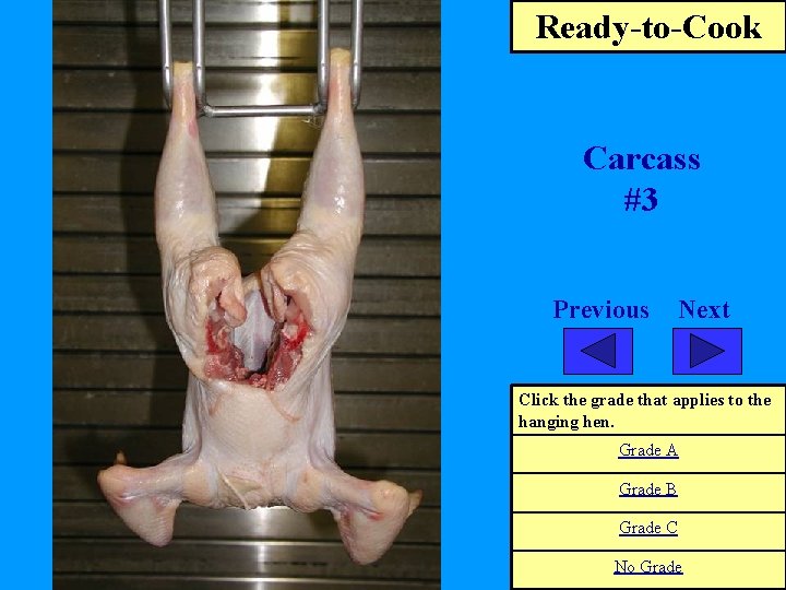 Ready-to-Cook Carcass #3 Previous Next Click the grade that applies to the hanging hen.