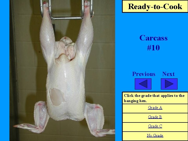 Ready-to-Cook Carcass #10 Previous Next Click the grade that applies to the hanging hen.