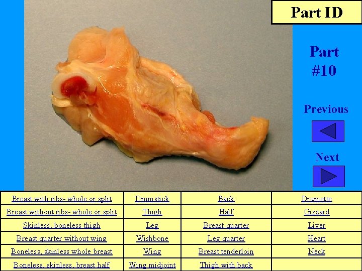 Part ID Part #10 Previous Next Breast with ribs- whole or split Drumstick Back