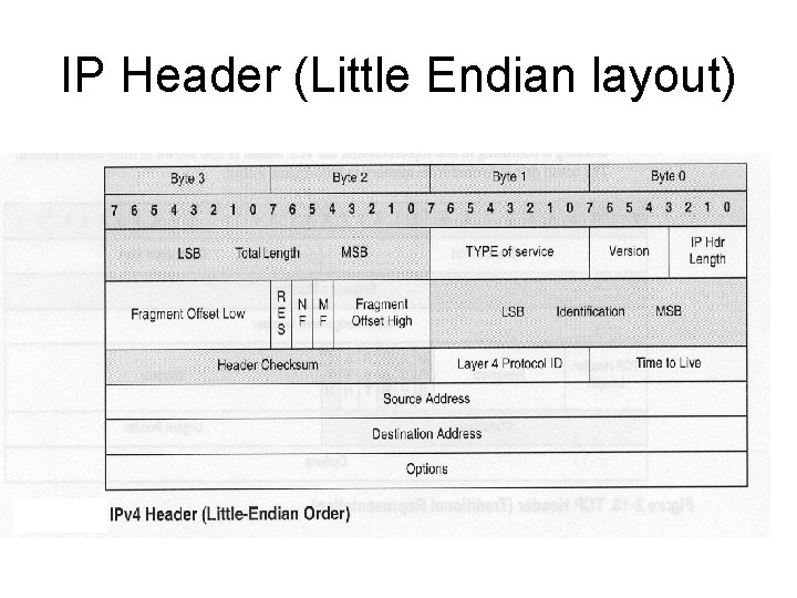 IP Header (Little Endian layout) 