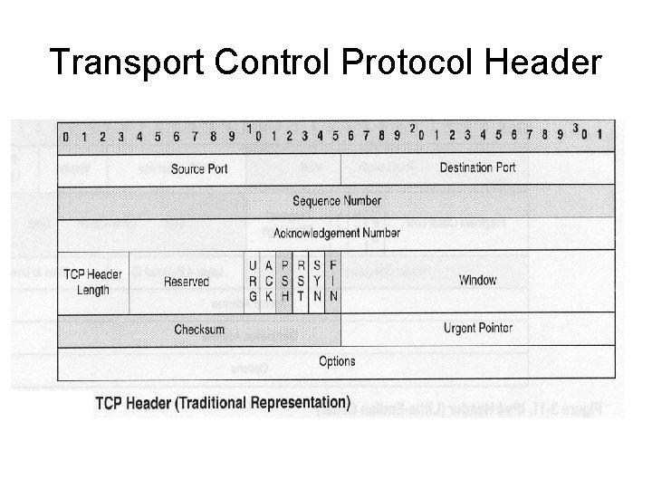 Transport Control Protocol Header 