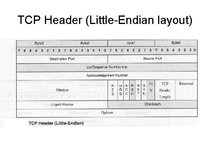 TCP Header (Little-Endian layout) 