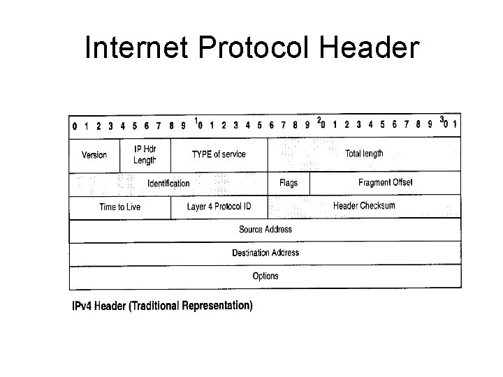 Internet Protocol Header 