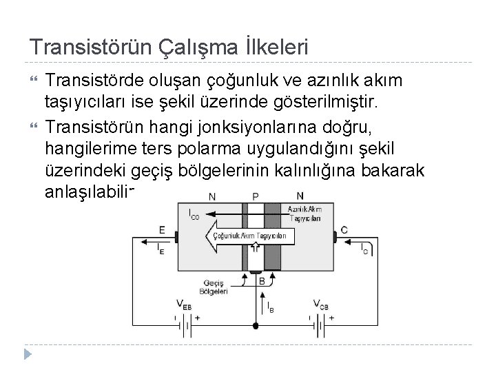 Transistörün Çalışma İlkeleri Transistörde oluşan çoğunluk ve azınlık akım taşıyıcıları ise şekil üzerinde gösterilmiştir.