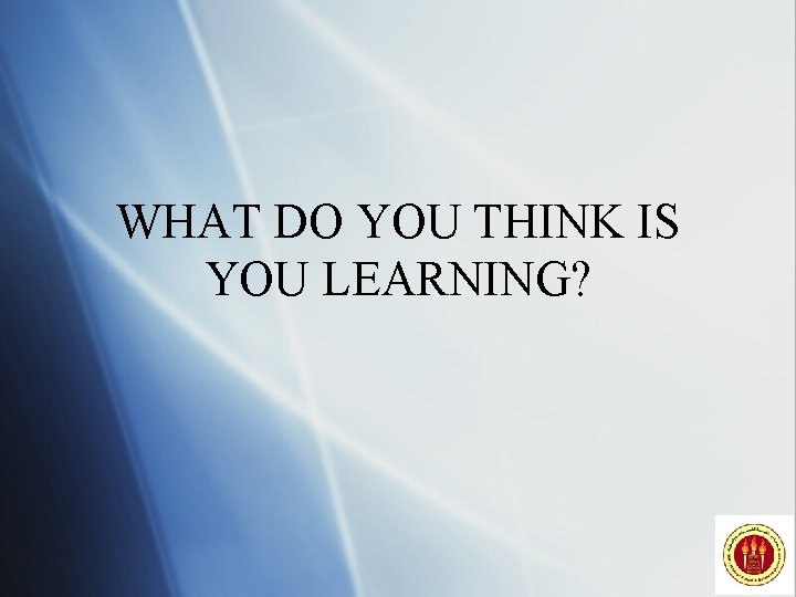 WHAT DO YOU THINK IS YOU LEARNING? 