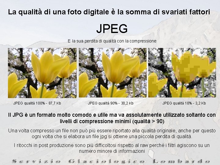 La qualità di una foto digitale è la somma di svariati fattori JPEG E