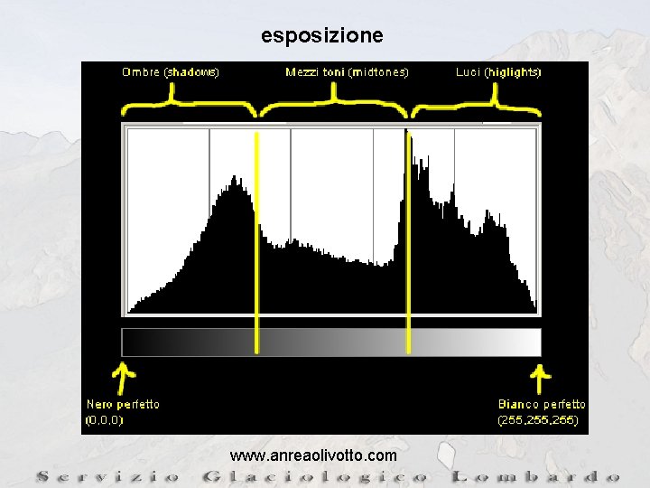 esposizione www. anreaolivotto. com 