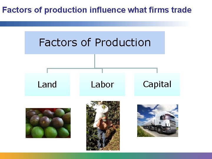 Factors of production influence what firms trade Factors of Production Land Labor Capital 