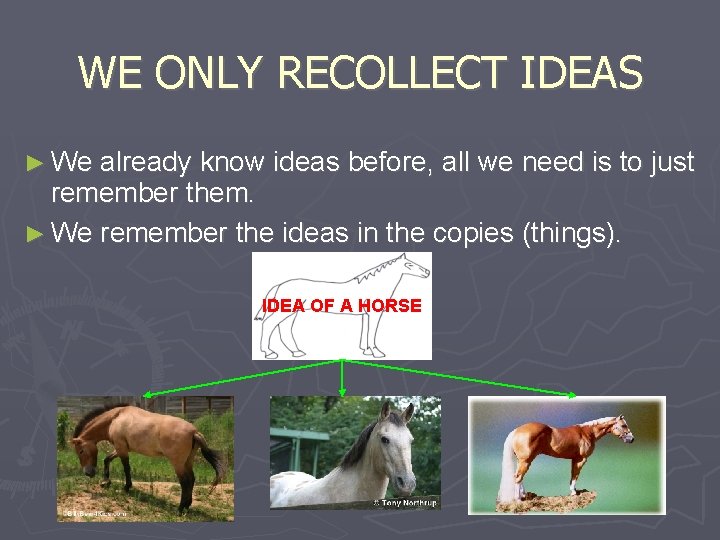 WE ONLY RECOLLECT IDEAS ► We already know ideas before, all we need is