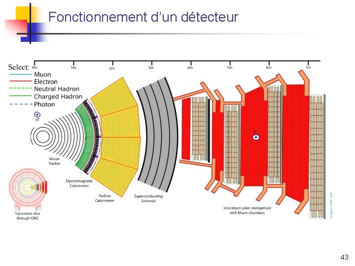 Fonctionnement d’un détecteur 43 