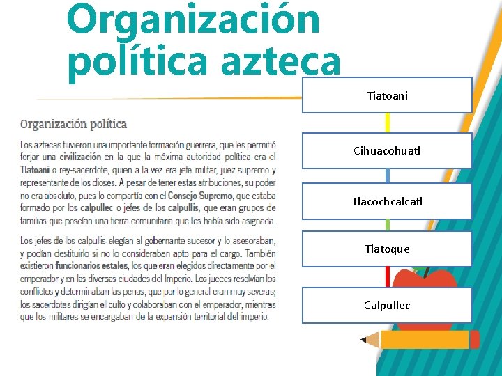 Organización política azteca Tiatoani Cihuacohuatl Tlacochcalcatl Tlatoque Calpullec 