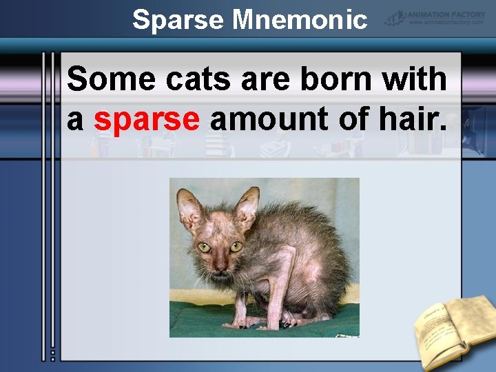 Sparse Mnemonic Some cats are born with a sparse amount of hair. 