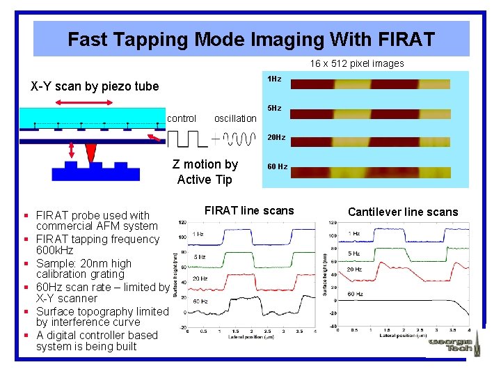 Fast Tapping Mode Imaging With FIRAT 16 x 512 pixel images 1 Hz X-Y
