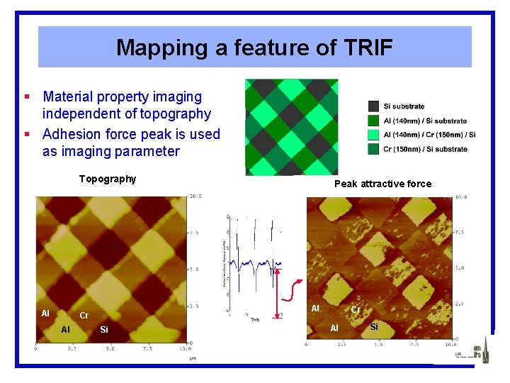 Mapping a feature of TRIF § Material property imaging independent of topography § Adhesion