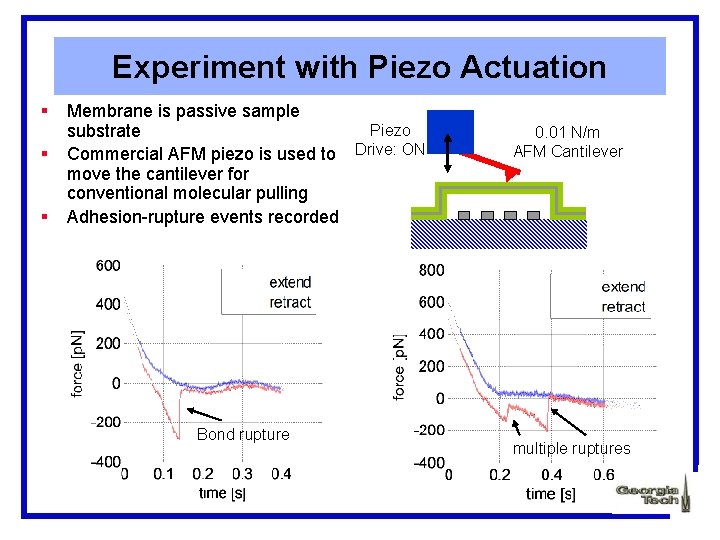 Experiment with Piezo Actuation § § § Membrane is passive sample Piezo substrate Commercial