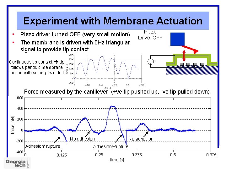 Experiment with Membrane Actuation § § Piezo driver turned OFF (very small motion) The