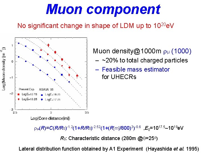 Muon component No significant change in shape of LDM up to 1020 e. V
