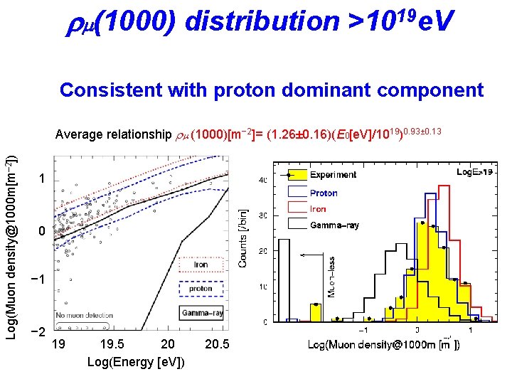 rm(1000) distribution >1019 e. V Consistent with proton dominant component Log(Muon density@1000 m[m– 2])