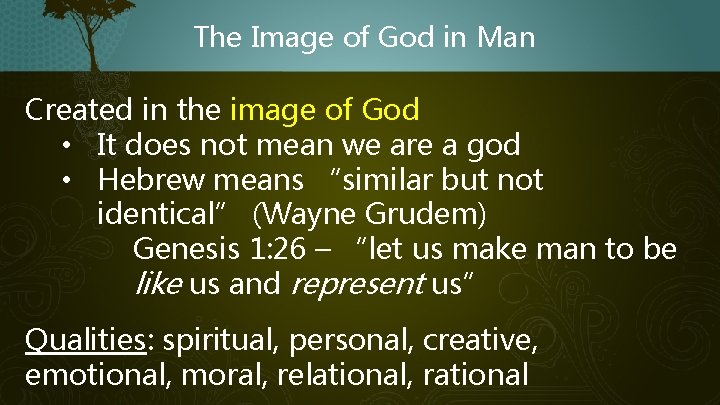 The Image of God in Man Created in the image of God • It