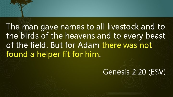 The man gave names to all livestock and to the birds of the heavens